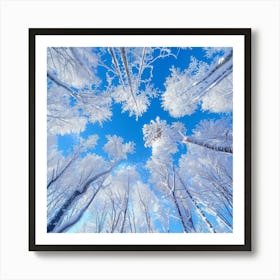 Winter Trees In The Snow Photo Art Print