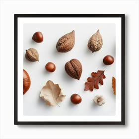 Autumn Nut and Leaves And Nuts Art Print