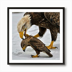 Bald Eagle And Chick Art Print