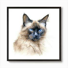 Longhair Siamese Cat Portrait 2 Art Print