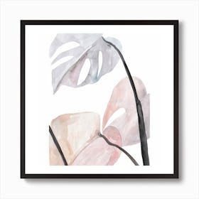 Botanical Illustration Rose Monsteras Square Art Print