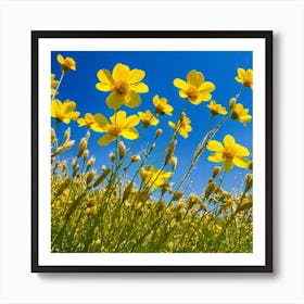 Yellow Cosmos Flowers Art Print