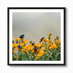 Beetle On Yellow Flower Art Print