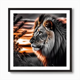 Sunset Lion 3 Art Print