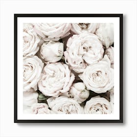 White Roses Art Print