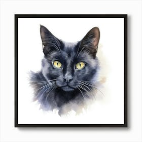 Russian Black Cat Portrait 1 Art Print