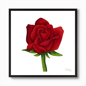 Red Rose Art Print