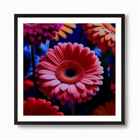 Gerberas Art Print