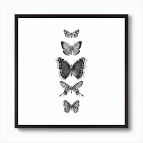 Inked Butterflies Bw Square Art Print