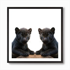 Black Panther Cubs Art Print
