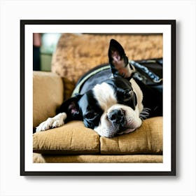 Boston Terrier Sleeping On The Couch (1) Art Print