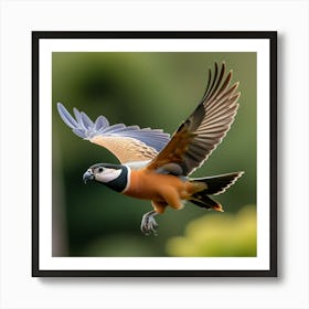 Hermosa Foto De Ave Volando Art Print