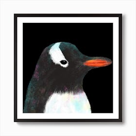 Gentoo Penguin Square Art Print