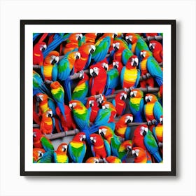 Colorful Parrots Art Print