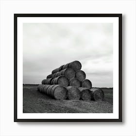 Poland agriculture 1 Art Print