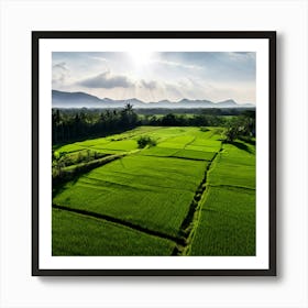 Grow Plant Green Background Field Aerial Landscape Pattern Agriculture Grass Harvesting C (1) Art Print