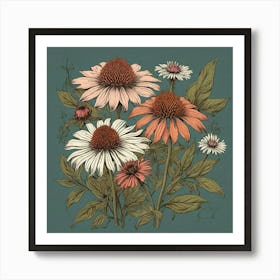 Echinacea Spices And Herbs Retro Drawing Art Print Art Print