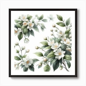 Flowers of Jasmine Art Print