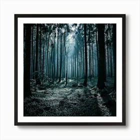 Firefly Dark And Moody Forest Deep Shadows And High Contrast For A Dramatic, Atmospheric Scene 1 Poster