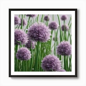 Purple Chives 1 Art Print