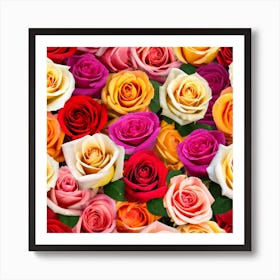 Colorful Roses 28 Art Print