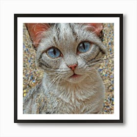 Blue Eyes Cat Art Print