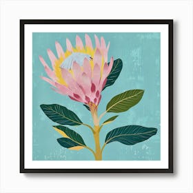 Protea 1 Square Flower Illustration Art Print