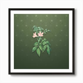 Vintage Turraea Pinnata Flower Botanical on Lunar Green Pattern n.1304 Art Print