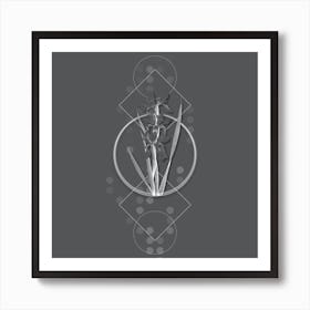 Vintage Yellow Banded Iris Botanical with Line Motif and Dot Pattern in Ghost Gray Art Print