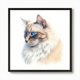 Carmel Snow Cat Portrait Art Print