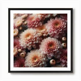 Chrysanthemums flowers 2 Art Print