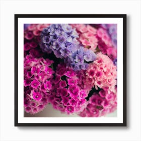 Hydrangeas Art Print