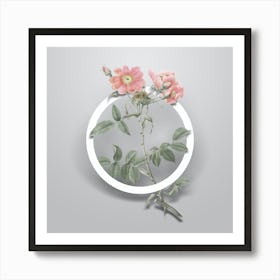 Vintage Lady Monson Rose Bloom Minimalist Flower Geometric Circle on Soft Gray n.0377 Art Print
