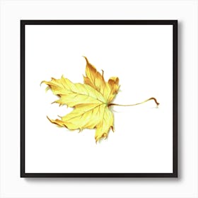 Yellow Maple Leaf Art Print