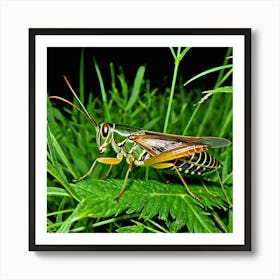 Crickets Insects Chirping Jumping Green Legs Antennae Noise Hopper Herbivores Garden Fiel (10) 1 Art Print