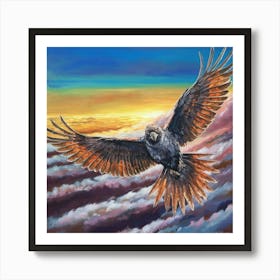 Eagle In Flight Art Print