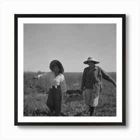 Nyssa, Oregon, Fsa (Farm Security Administration) Mobile Camp, Japanese American Farm Worker By Russell Lee 1 Art Print