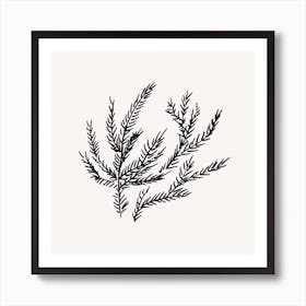 Summer Fern Square Art Print