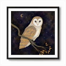 Barn Owl Art Print