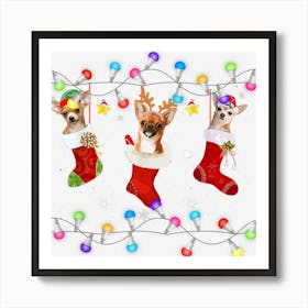 Santa Chihuahua Puppy Christmas Lights Socks Xmas Decor Art Print