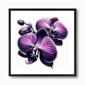 Orchid flower Art Print