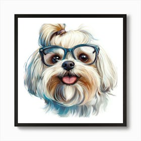 Shih Tzu 12 Art Print