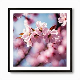 Cherry Blossoms 3 Art Print