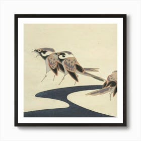 Three Birds On A River Art Print