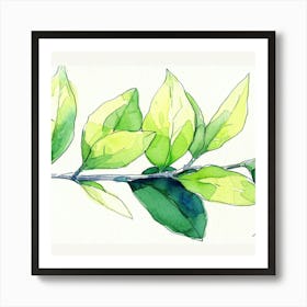 Green Leaf Watercolor Painting Art Print