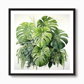 Monstera Plants Art Print