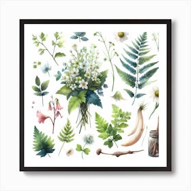 Herbs Art Print