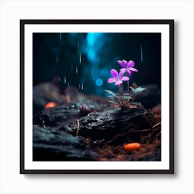 up close on a black rock in a mystical fairytale forest, alice in wonderland, mountain dew, fantasy, mystical forest, fairytale, beautiful, flower, purple pink and blue tones, dark yet enticing, Nikon Z8 Art Print