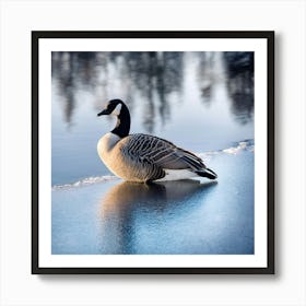 Canadian Geese 9 Art Print