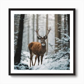 Deer In The Snow 1 Art Print